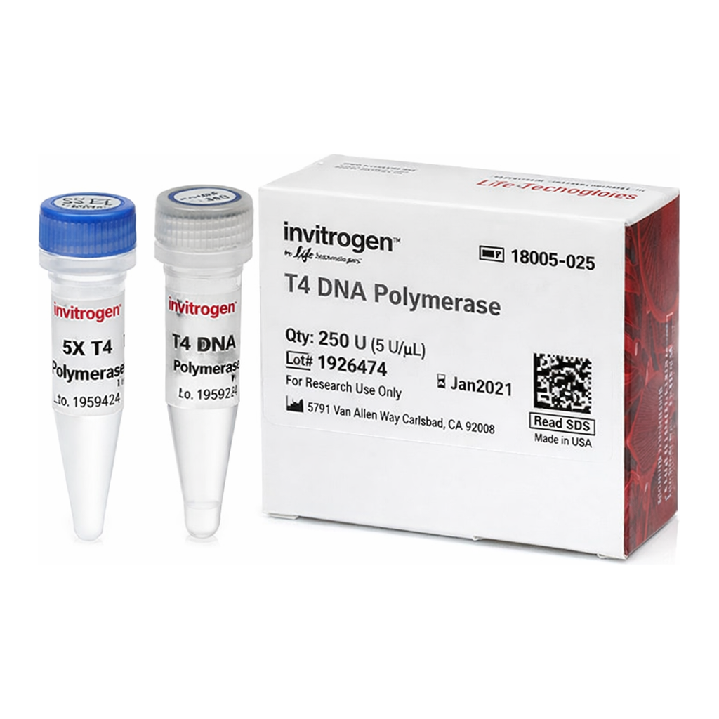 Thermo Fisher Scientific T4 DNA Polymerase, 50 U