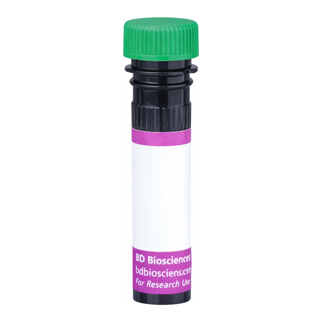 BD BV480 Rat Anti-Mouse Ig, κ light chain