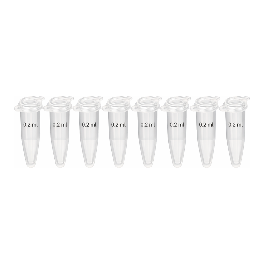 현대마이크로 PCR Tube 0.2㎖ Clear 8-Strip Attached Dome Cap