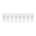 현대마이크로 PCR Tube 0.2㎖ Clear 8-Strip Attached Dome Cap