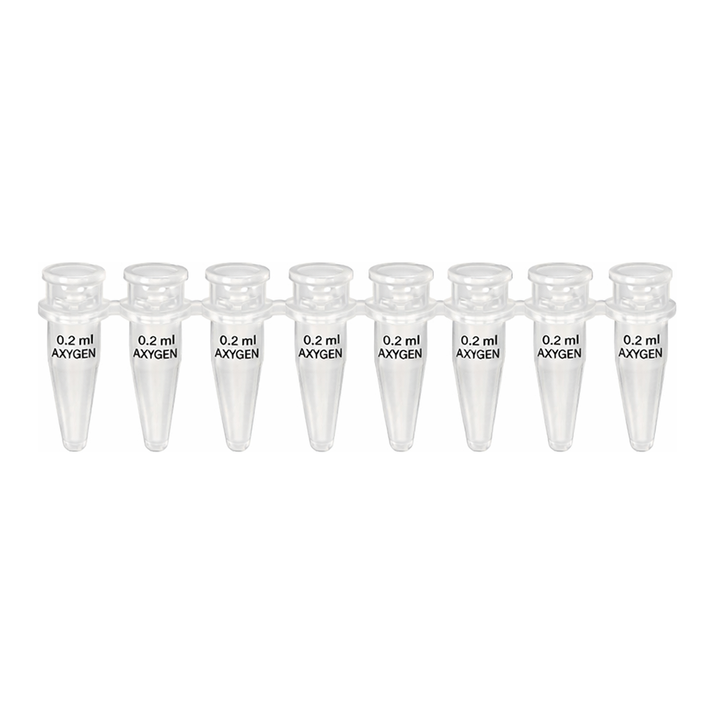 현대마이크로 PCR Tube 0.2㎖ Clear 8-Strip UnAttached Flat Cap