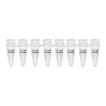 현대마이크로 PCR Tube 0.2㎖ Clear 8-Strip UnAttached Flat Cap