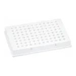 현대마이크로 Real Time PCR Plate 0.1㎖ 96 Well White
