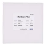 현대마이크로 Membrane Filter, MCE