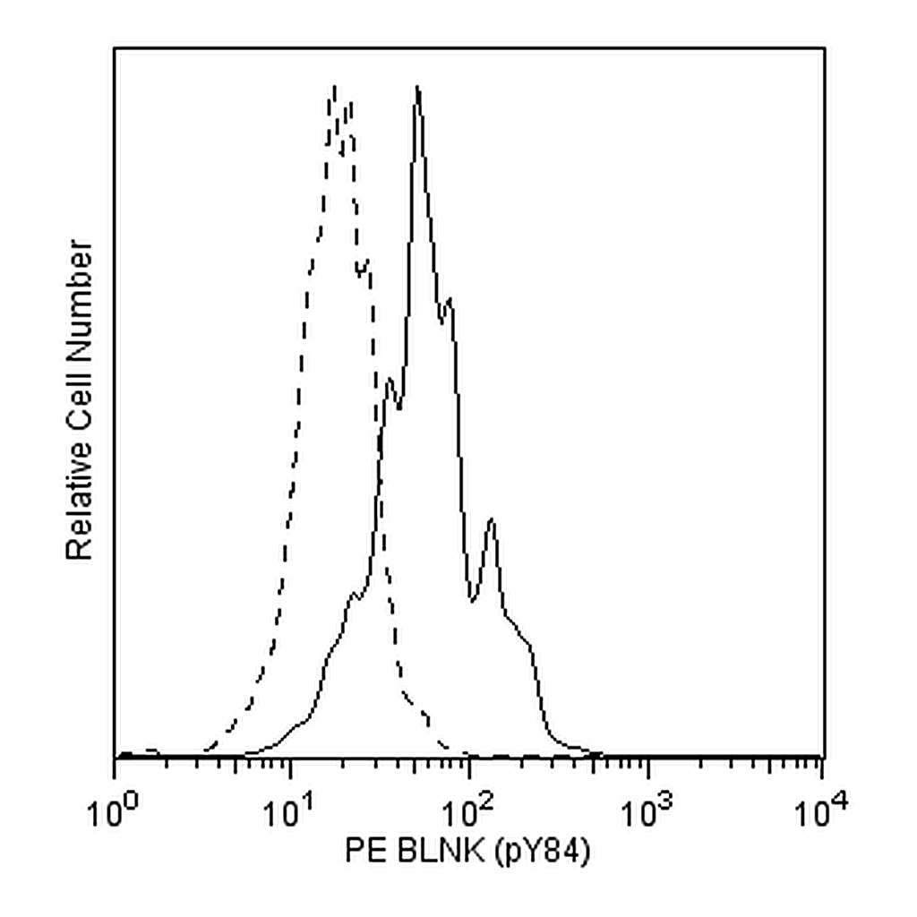 BD PE Mouse anti-BLNK (pY84)