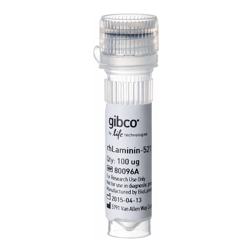 Thermo Fisher Scientific rhLaminin-521, 100ug