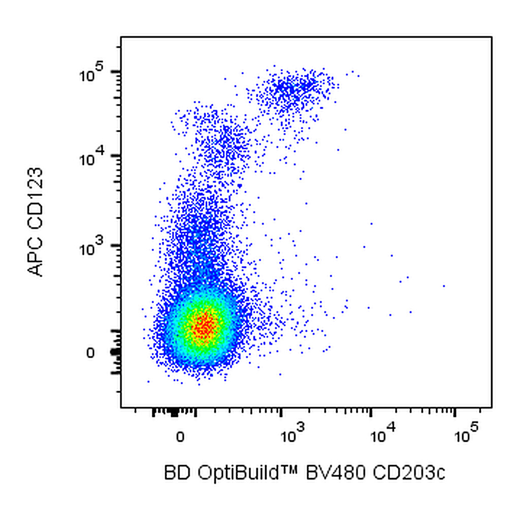 BD BV480 Mouse Anti-Human CD203c