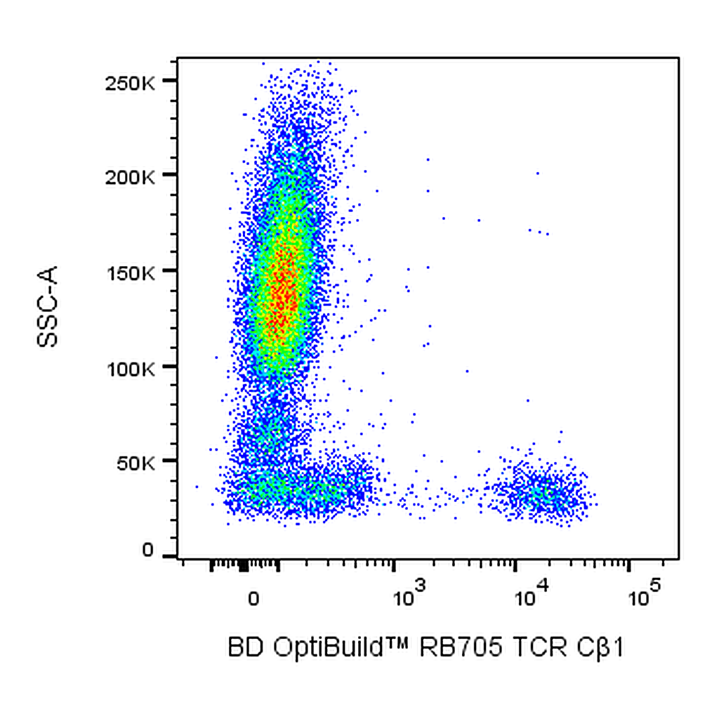 BD RB705 Mouse Anti-Human TCR Cβ1
