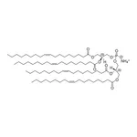 Merck 18:1 BDP (S,S)