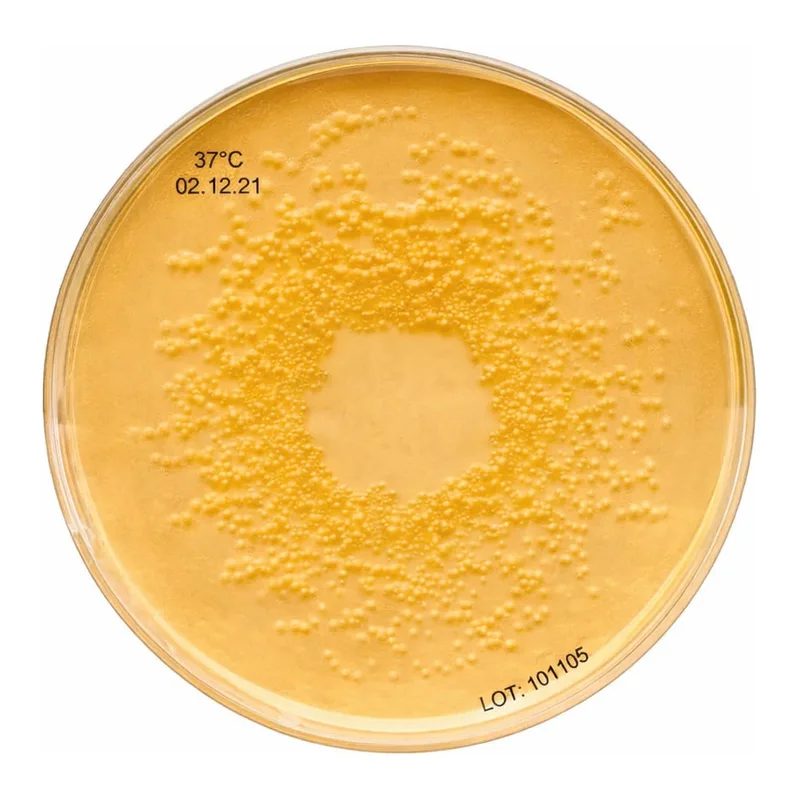 Merck Nutrient AgarNutriSelect Plus