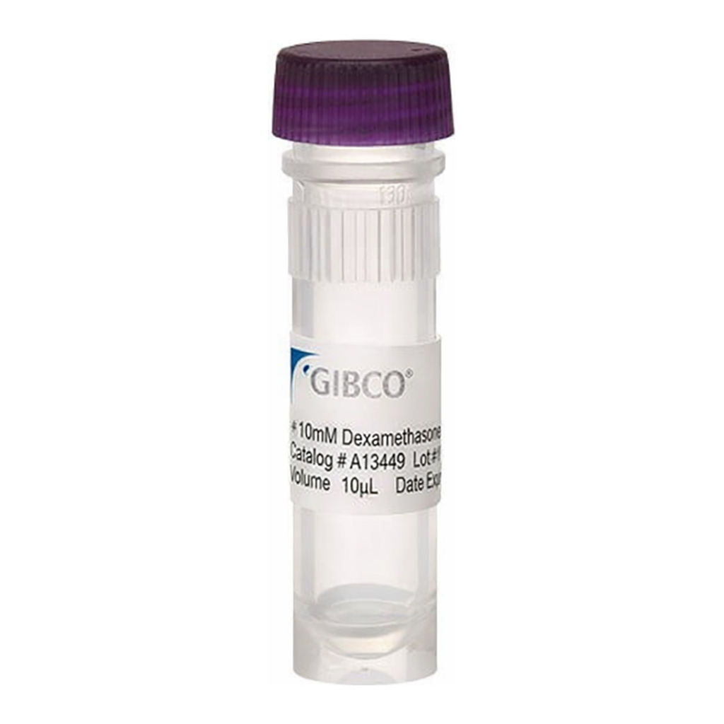 Thermo Fisher Scientific Dexamethasone, 10 mM in DMSO
