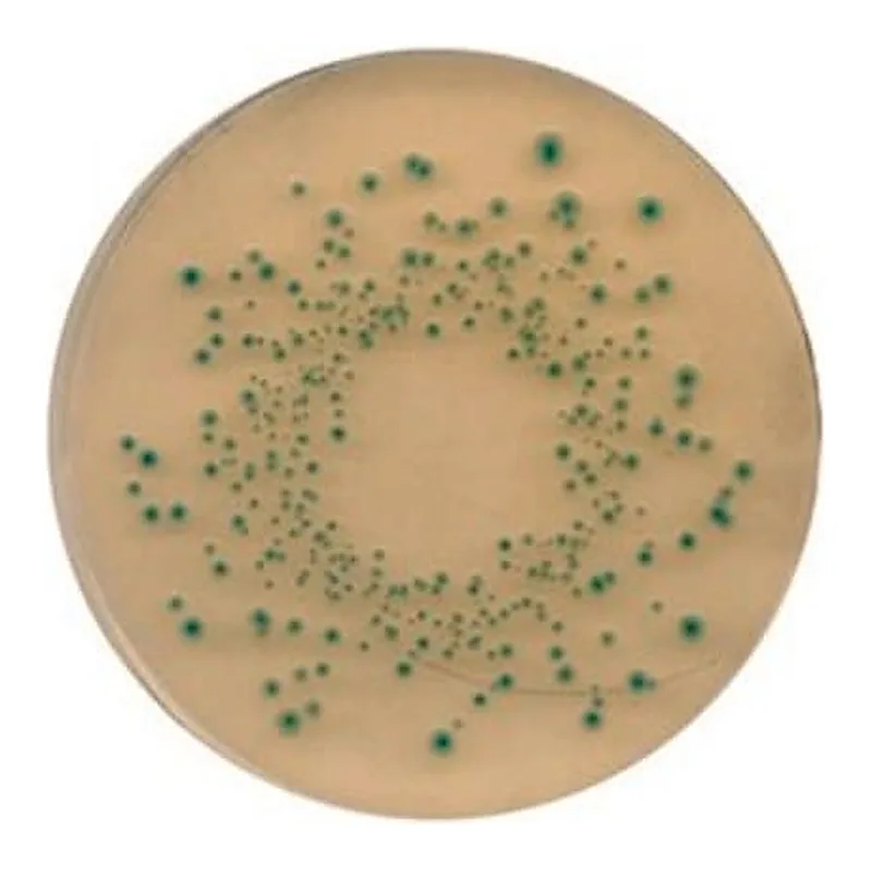 Merck TBX Agar