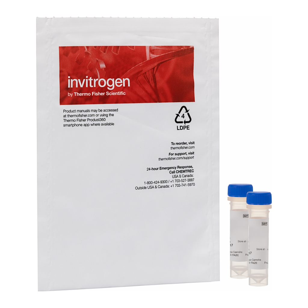 Thermo Fisher Scientific FocalCheck Microspheres, 15 &mu;m, fluorescent green ring stain/dark red throughout