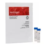 Thermo Fisher Scientific FocalCheck Microspheres, 15 μm, fluorescent green ring stain/dark red throughout