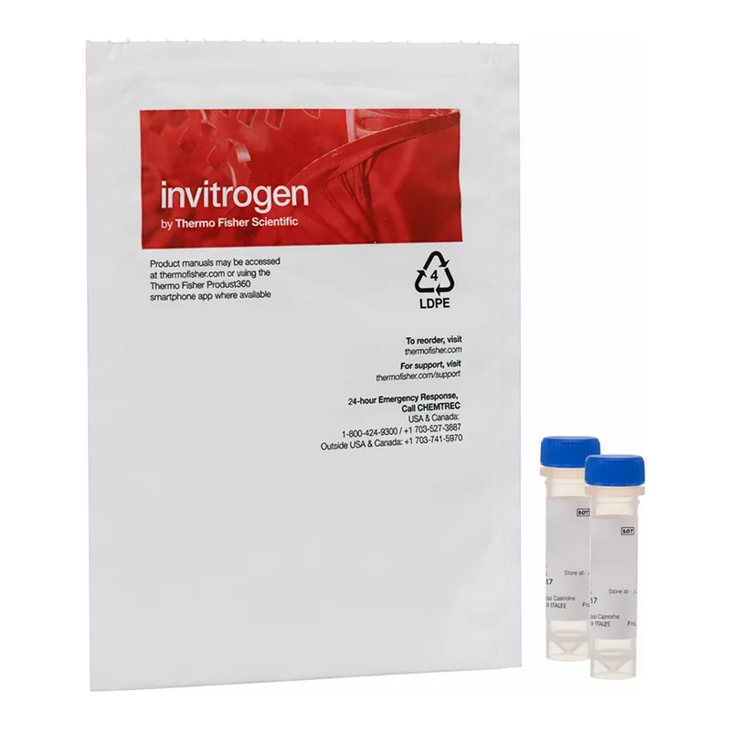 Thermo Fisher Scientific FocalCheck Microspheres, 15 μm, fluorescent green ring stain/dark red throughout