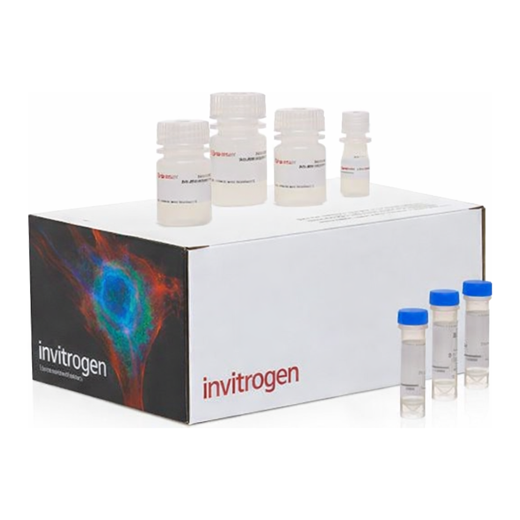 Thermo Fisher Scientific Click-iT EdU Cell Proliferation Kit for Imaging, Alexa Fluor 647 dye
