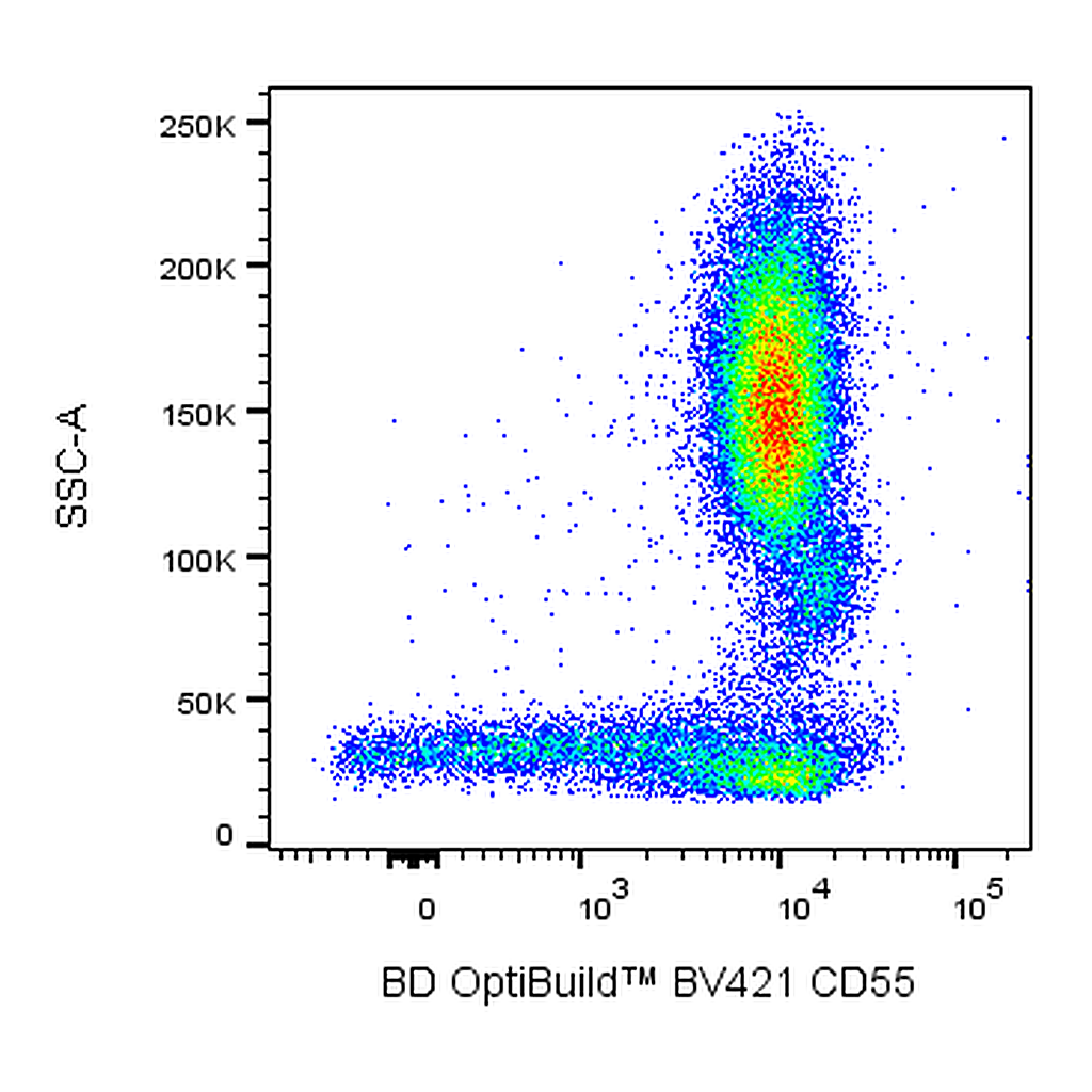 BD BV421 Mouse Anti-Human CD55