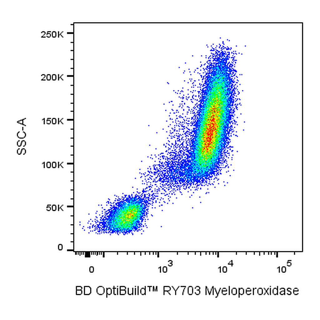 BD RY703 Mouse Anti-Human Myeloperoxidase