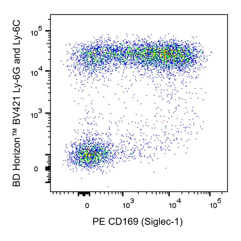 BD PE Rat Anti-Mouse CD169 (Siglec-1)