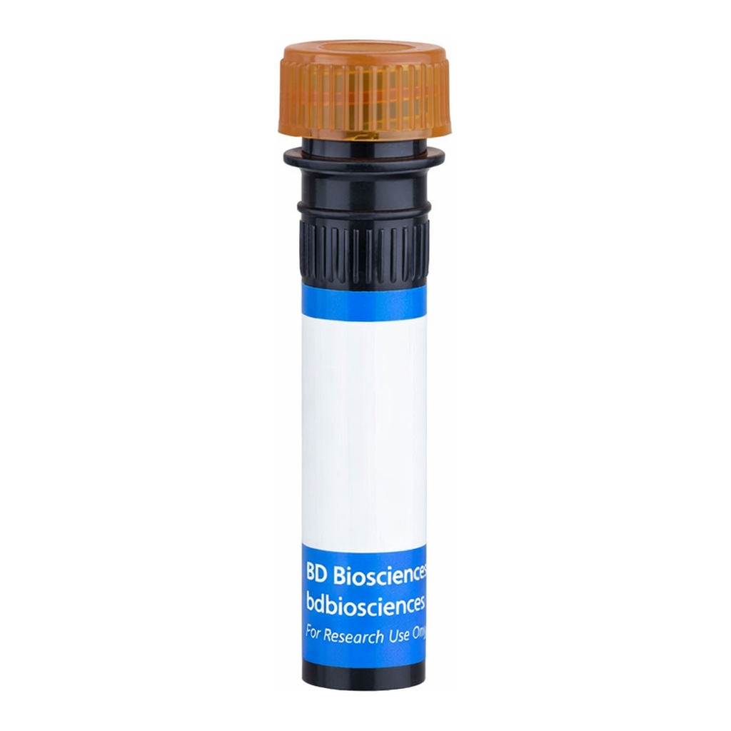 BD RB705 Rat Anti-Mouse Vβ 11 T-Cell Receptor