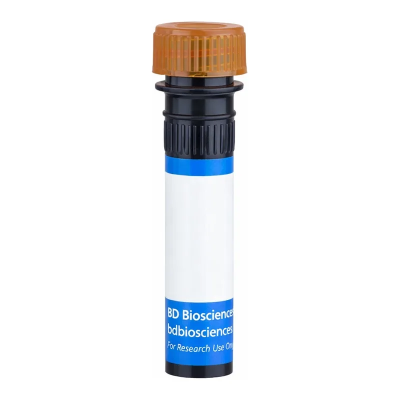 BD RB705 Rat Anti-Mouse Vβ 11 T-Cell Receptor