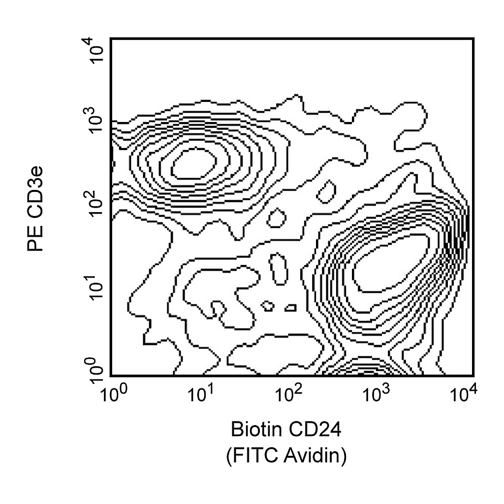 BD Biotin Rat Anti-Mouse CD24