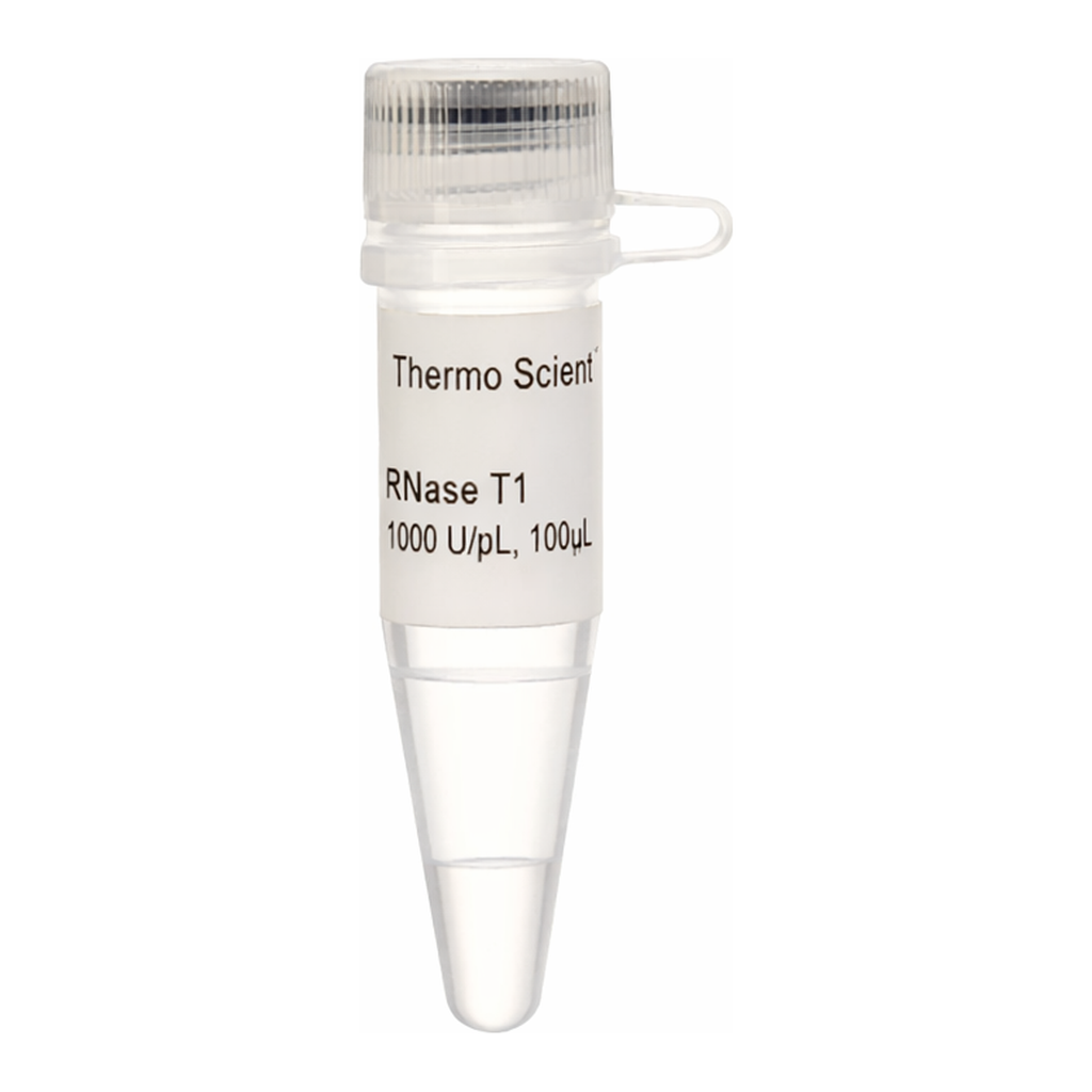 Thermo Fisher Scientific RNase T1 (1000 U/μL), 100,000 units