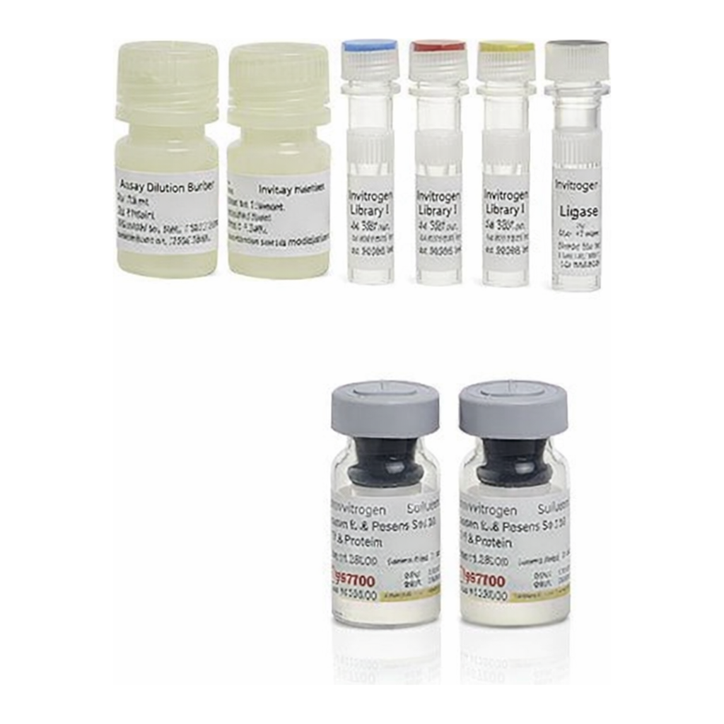 Thermo Fisher Scientific Human Tau pT181 ProQuantum Immunoassay Kit