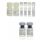 Thermo Fisher Scientific Human Tau pT181 ProQuantum Immunoassay Kit