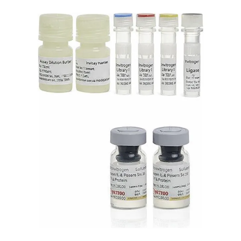Thermo Fisher Scientific Human Tau pT181 ProQuantum Immunoassay Kit