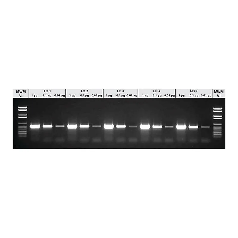 Merck PCR Master