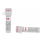 Merck MISSION(R) esiRNA