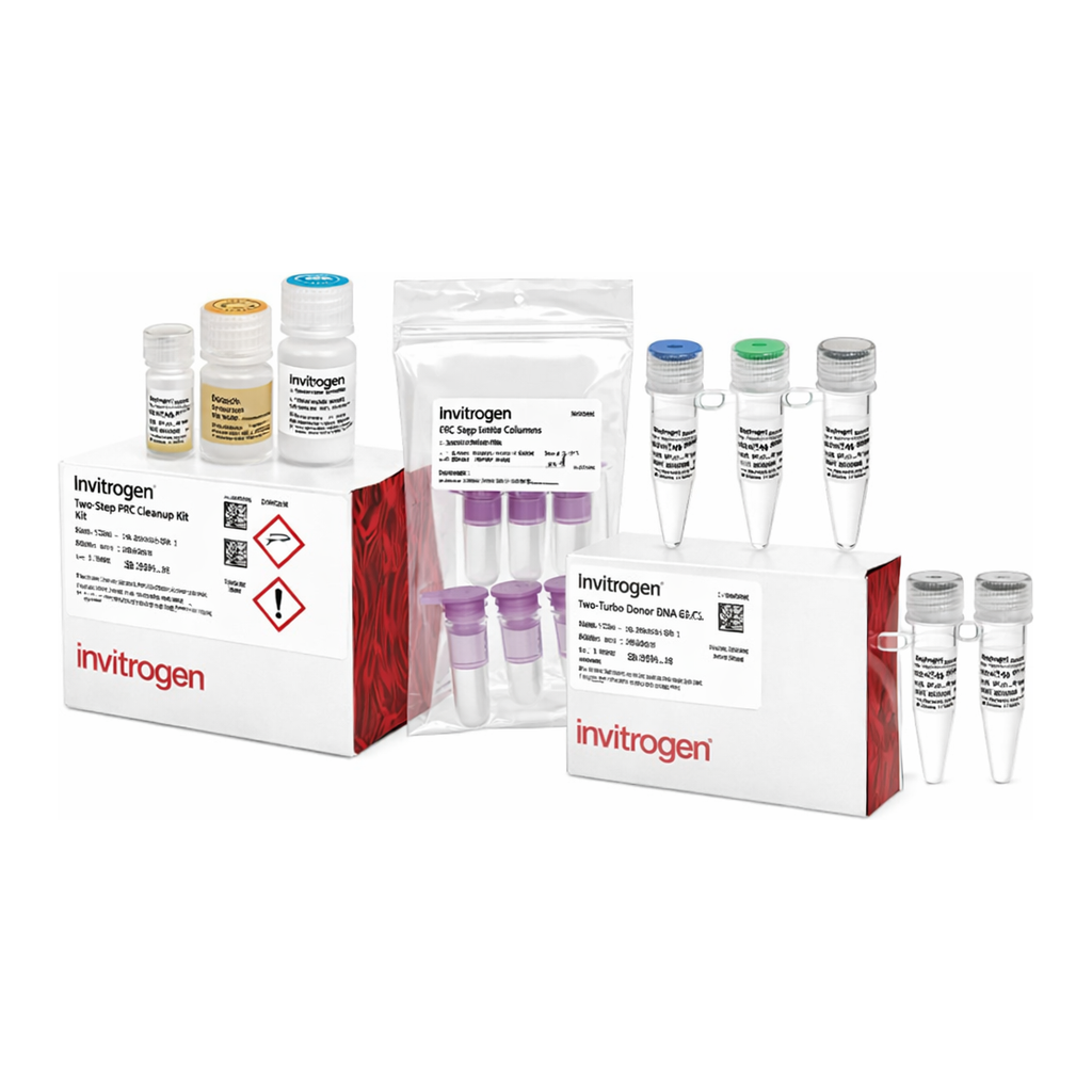 Thermo Fisher Scientific TrueTag Donor DNA Kit, RFP