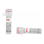 Merck MISSION(R) esiRNA
