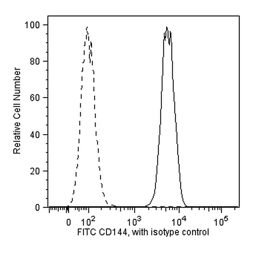BD FITC Mouse anti-Human CD144