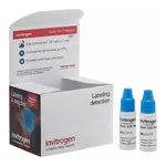 Thermo Fisher Scientific Hoechst 33342 Ready Flow Reagent
