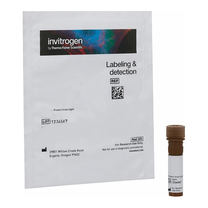 Thermo Fisher Scientific Wisteria Floribunda (Japanese Wisteria) Lectin (WFL), fluorescein (FITC)