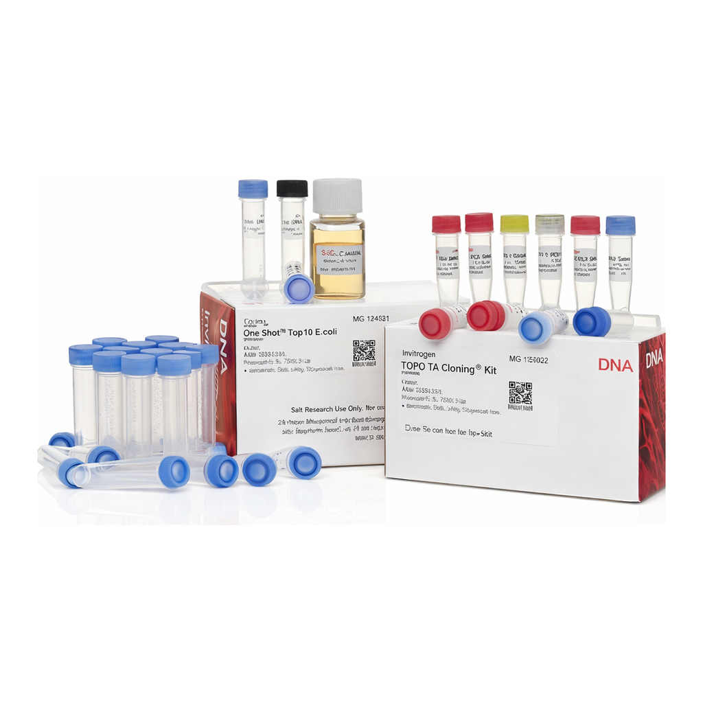 Thermo Fisher Scientific TOPO TA Kit, TOP10F` (Supply Center Packaging)