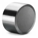 Waters XBridge BEH C8 Prep Guard Cartridge, 130Å, 5 µm, 19 mm X 10 mm, 1/pk