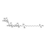 Merck LYSO GB3-D7