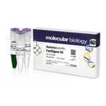 Thermo Fisher Scientific FastDigest OliI