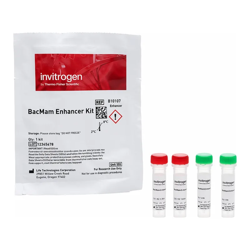 Thermo Fisher Scientific BacMam Enhancer Kit
