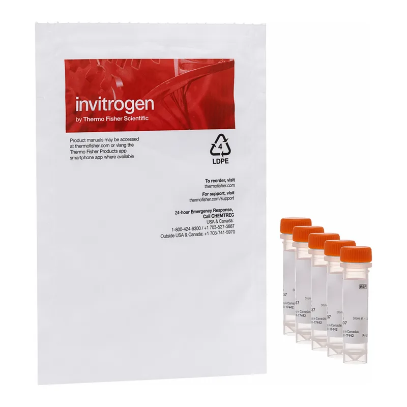 Thermo Fisher Scientific Image-iT TMRM Reagent (mitochondrial membrane potential indicator)
