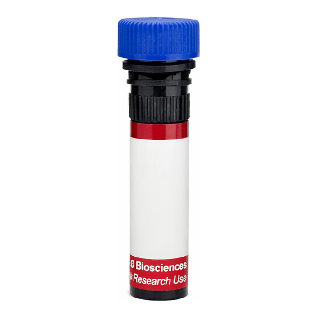 BD R718 Mouse Anti-Human Somatostatin
