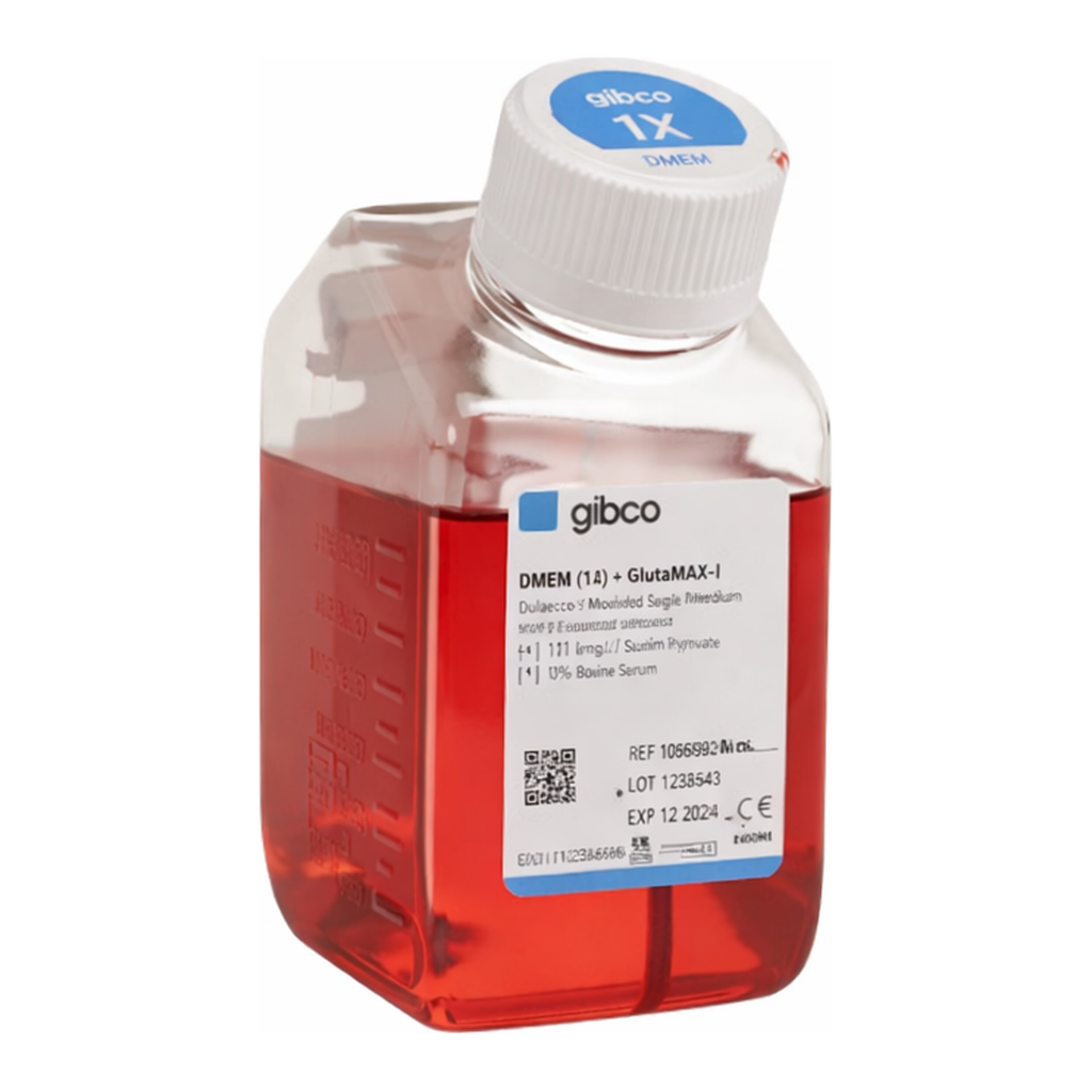 Thermo Fisher Scientific DMEM, low glucose, GlutaMAX Supplement, pyruvate, 500 mL
