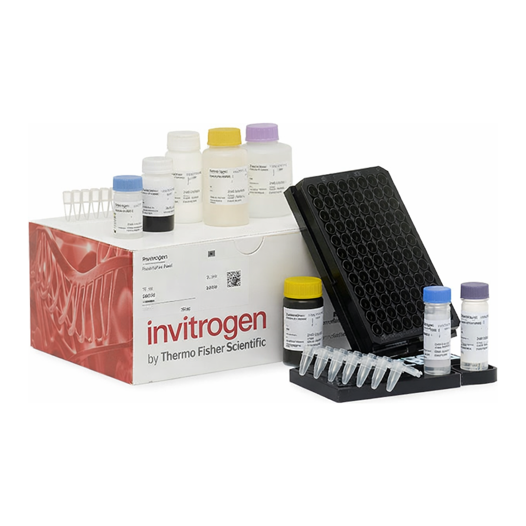 Thermo Fisher Scientific ProcartaPlex Mouse Cytokine &amp; Chemokine Convenience Panel 1A, 36plex