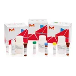 Merck TYROSINASE ASSAY KIT