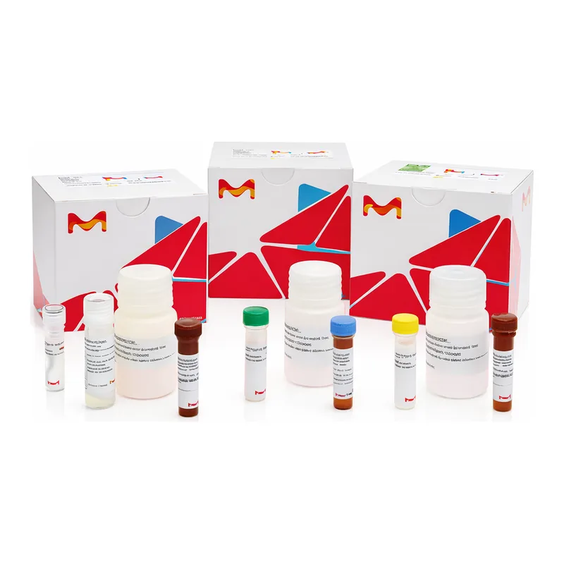Merck TYROSINASE ASSAY KIT