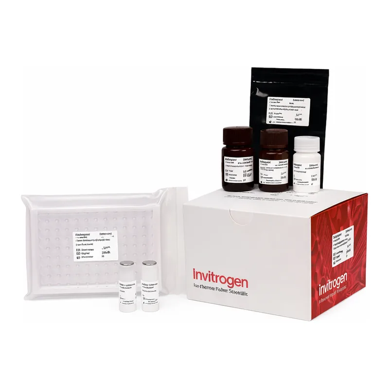 Thermo Fisher Scientific Lactate Dehydrogenase (LDH) Colorimetric Activity Kit