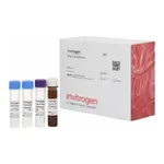 Thermo Fisher Scientific EpCAM Human ProcartaPlex Simplex Kit